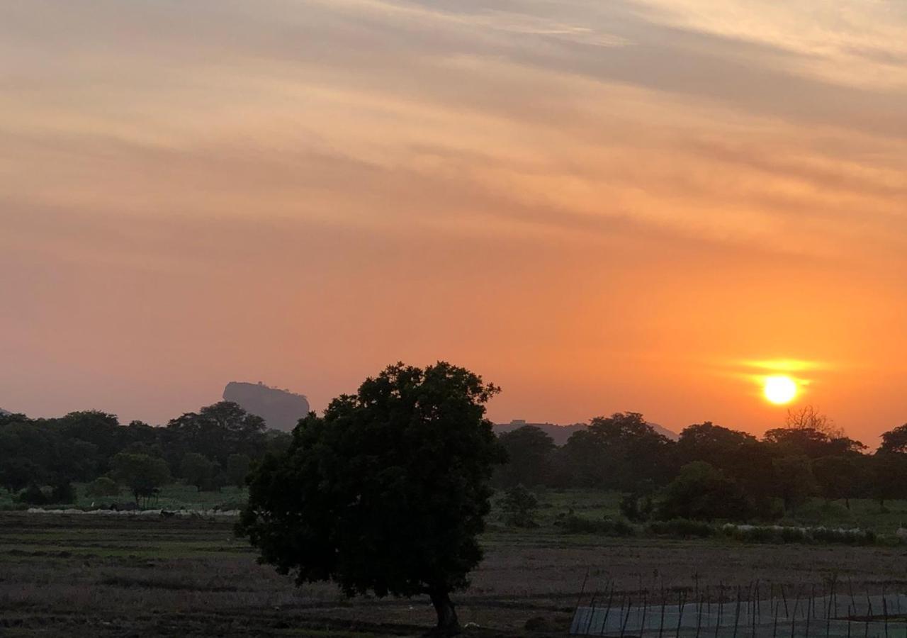 Atteriya Sigiriya Hotel Kültér fotó